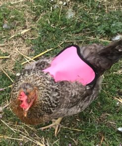 Hen Saver Hen Apron/Saddle, Single Strap, Small/Medium, Awareness Pink Medium 22 81KaPJcW8qL