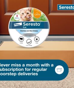 Seresto Cat Vet-Recommended Flea & Tick Treatment & Prevention Collar for Cats | 8 Months Protection 1 Pack Cat Only 29 81KdIaaSnL