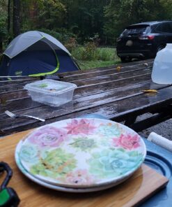 Coleman Sundome Camping Tent, 2/3/4/6 Person Dome Tent with Snag-Free Poles for Easy Setup in Under 10 Mins, Included Rainfly Blocks Wind & Rain, Tent for Camping, Festivals, Backyard, Sleepovers Navy Blue 2 Person 81 81Kex5GzwWL