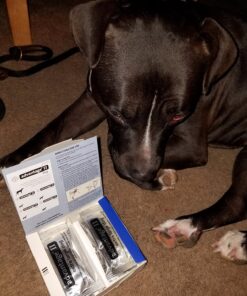 Advantage II XL Dog Vet-Recommended Flea Treatment & Prevention | Dogs Over 55 lbs. | 4-Month Supply 4-Pack 38 81Kf53zxP3L