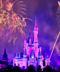 Nikon ML-L3 Wireless Remote Control 29 81Kf6gOKXL