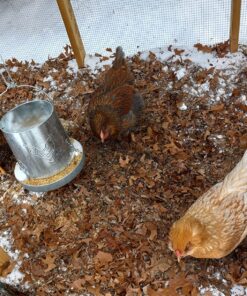 Harris Farms 1000293 Galvanized Hanging Poultry Feeder, 15 lbs, Metal 15 lb 26 81KgQbAJgXL