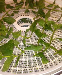 NESCO LM-2-6 Round Plastic Mesh 13 1/2" Clean-A-Screens, for Dehydrators, (Pack of 2) 22 81KhdyqVt7L