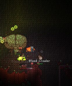 Terraria - Wii U 14 81Kl4VfEAWL