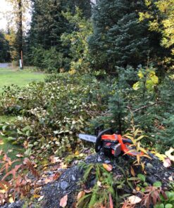 BLACK+DECKER 20V Max Cordless Chainsaw, 10-Inch, Tool Only (LCS1020B) 20V Chainsaw (Tool Only) 33 81KpRjJTWTL