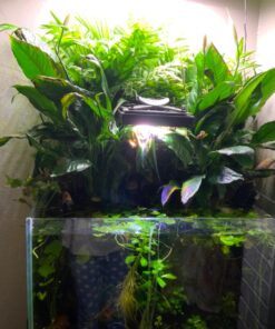 AquaClear 50 Power Filter, Fish Tank Filter for 20- to 50-Gallon Aquariums (Packaging may vary) 20 to 50 Gallons - 50 42 81KpqiuYmGL