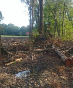 Ameristep Care Taker Kick Out Pop-Up Ground Blind, Premium Hunting Blind Realtree Edge 19 81KudFfrRAL