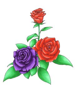 Copic Sketch, Alcohol-based Markers, 6pc Set, Secondary Tones Marker Set 7 81KyOeRYeGL