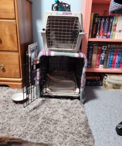 MidWest Homes for Pets Newly Enhanced Single Door iCrate Dog Crate, Includes Leak-Proof Pan, Floor Protecting Feet, Divider Panel & New Patented Features 22.5"L x 13.5"W x 16.0"H 37 81KzW9pmTL