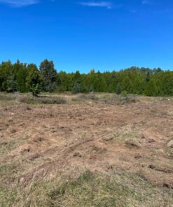 Whitetail Institute Arrest Max Selective Grass Control Herbicide Specifically Developed for Deer Food Plots, 1 Pint 20 81L aO9G9QL