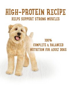 Purina Beneful High Protein, Gravy Wet Dog Food Variety Pack, Prepared Meals Stew - (6) 10 oz. Tubs 6.00 Ounce (Pack of 10) 21 81L o5m8vQS