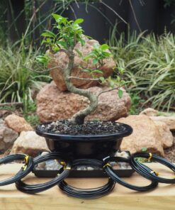 Anodized Aluminum Bonsai Training Wire 5-Size Starter Set with Canvas Bag - 1.0mm, 1.5mm, 2.0mm, 2.5mm, 3.0mm (147 feet total) - Choose Your Color (5 Sizes, Black) 5 Sizes 20 81L1dfOHFwL