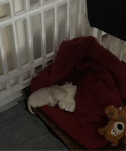 K&H Pet Products Self-Warming Crate Pad, Warming Dog Crate Bed, Machine Washable Dog Crate Mat, Mocha X-Small 14 x 22 Inches 22.0"L x 14.0"W x 1.0"Th 48 81L2RNYFL6L