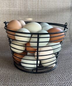 Little Giant® Small Egg Basket | Basket for Carrying and Collecting Chicken Eggs | Wire Egg Basket | Egg Collecting Basket 20 81L2nCjlT4L