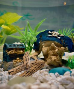 SunGrow Cholla Wood for Shrimps, Dried Husk of Cholla Cactus, Aquarium or Home Decor for Hermit Crabs, Pleco, 3 Pieces per Pack (3 Pieces, 6 inches) 27 81L3fqJBOIL