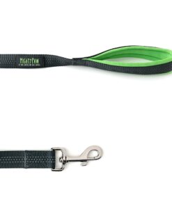 Mighty Paw Dual Handle Dog Leash - Reflective Lead with Two Handles - Dual Dog Leash Long - 2 Handle Dog Lead - Dog Leash with Traffic Loop Dog Leash 6 Foot (Grey/Green) Grey/Green 26 81L3gdS9RvL