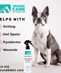 Forticept Maxi-Wash Hot Spot Treatment, Wound Care & Itch Relief Spray for Dogs and Cats. Relives Scratching, Rashes, Sores, Itchy Skin and Paw Licking 8 oz 8 Fl Oz (Pack of 1) 14 81L5Ueio43L 1