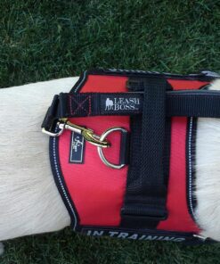 Leashboss Short Dog Leash for Dog Training | Padded Traffic Handle Short Leash for Dog Training, Total Comfort When Dog Walking | Traffic Leash for Dogs Large, Medium, Small | Short Nylon Dog Lead 12 Inch Black/Red/Grey 33 81L6Ip3bT8L