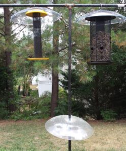 Perky-Pet 340 Transparent 16-Inch Squirrel Baffler 41 81L72tSObjL