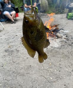 Ugly Stik Dock Runner Spinning Reel and Fishing Rod Combo 3' - Medium - 1pc New Model 19 81L7wtf9BHL