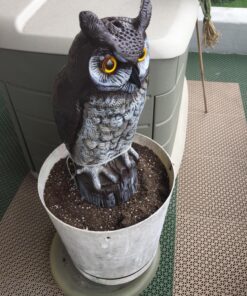 Dalen Fake Owl Decoy to Scare Birds Away from Gardens, Rooftops, and Patios - Scarecrow Provides Chemical-Free Pest Control - Safe and Humane, 16" Great Horned Owl 39 81L9ud6lJsL