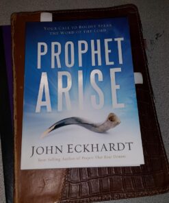 Prophet, Arise: Your Call to Boldly Speak the Word of the Lord 11 81LCbpuHzyL