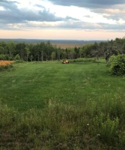 MaxPower 561713B 2-Blade Set for 42" Cut Poulan/Husqvarna/Craftsman Replaces 138498, 138971, 138971X431, 532138971, 53-21278-43, 53-21384-98, Black 19 81LCdEefiHL