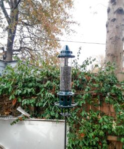 Squirrel Buster Plus Squirrel-proof Bird Feeder w/Cardinal Ring and 6 Feeding Ports, 5.1-pound Seed Capacity, Adjustable, Pole-mountable (POLE ADAPTOR SOLD SEPARATELY), Green 49 81LCmKIt3L