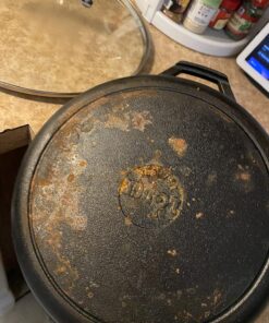 Lodge 10.25 Inch Cast Iron Pre-Seasoned Skillet – Signature Teardrop Handle - Use in the Oven, on the Stove, on the Grill, or Over a Campfire, Black 113 81LCsdzPnpL