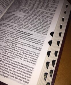 KJV Holy Bible, Standard Size, Burgundy Faux Leather w/Thumb Index and Ribbon Marker, Red Letter, King James Version 47 81LDyEe0dUL