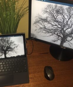 Rankie Mini DisplayPort (Mini DP) to HDMI Cable, 4K Ready, 6 Feet 30 81LEUxHeOSL