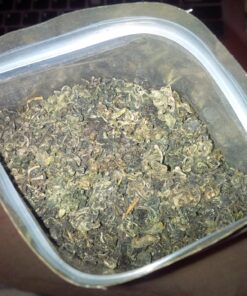 Gynostemma Tea (Jiaogulan Tea) 100 2g Green Tea Bags 100 Count (Pack of 1) 29 81LEwmgYnoL