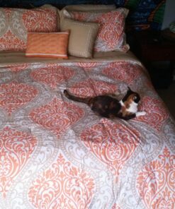 Intelligent Design Senna Comforter Set Full/Queen Size - Orange/Taupe, Damask – 5 Piece Bed Sets – All Season Ultra Soft Microfiber Teen Bedding - Great For Guest Room and Girls Bedroom 38 81LFks fH9L
