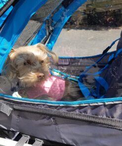 Instep Bike Trailer for Toddlers, Kids, Single and Double Seat, 2-In-1 Canopy Carrier, Multiple Colors Blue Single Seat 33 81LHE4UChBL