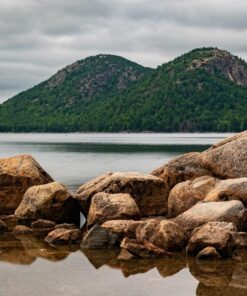 Nikon D750 w/ 24-120mm Lens 59 81LHdafeJL