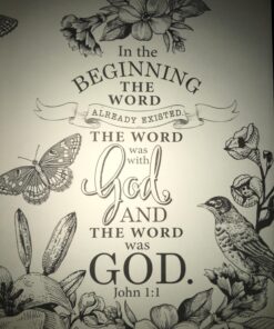Tyndale NLT Inspire Bible (Softcover, Aquamarine): Journaling Bible with Over 400 Illustrations to Color, Coloring Bible with Creative Journal Space - Religious Gift that Inspires Connection with God Paperback 48 81LJSynRHPL