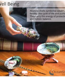 Natural Abalone (Pāua) Shell, with Stand,6-6.5 Inches,Supreme for Smudging,Cleansing Home,Meditation,Shell Crafts,Incense Holder,100% Natural, Sustainably Sourced by Ocean Shell Studios NZ 6"-6.5" 23 81LK BdpsxL