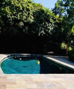 Natural Chemistry Phosfree, 3-Liter 1-Pack 15 81LM80scjL