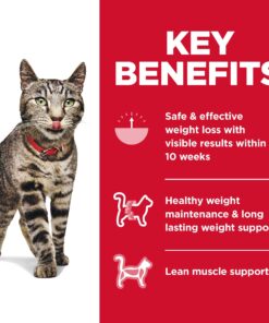 Hill's Science Diet Dry Cat Food, Adult, Perfect Weight for Healthy Weight & Weight Management, Chicken Recipe, 15 lb. Bag 15 Pound (Pack of 1) 26 81LNASedcXL