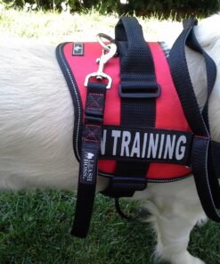 Leashboss Short Dog Leash for Dog Training | Padded Traffic Handle Short Leash for Dog Training, Total Comfort When Dog Walking | Traffic Leash for Dogs Large, Medium, Small | Short Nylon Dog Lead 12 Inch Black/Red/Grey 34 81LOmsw1TL