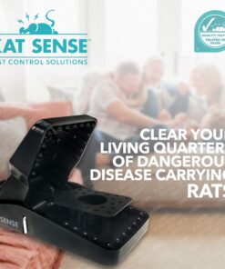 Kat Sense Rat Traps That Work Indoor & Outdoor for Instant Kill Results, Set of 8 Large Reusable Snap Traps for Mice Chipmunks 'N Squirrels 8 Piece 24 81LQAHiblFL