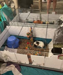 MidWest Homes for Pets Canvas Bottom (Replacement Part) for Guinea Pig Habitat Model 171GH & Guinea Pig Habitat 'Plus' Model 171GHP 47.3"L x 23.8"W x 4.3"H 21 81LS6 whuYL