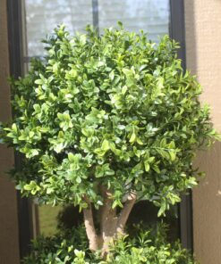 Silk Decor 1 4'TRI Ball Boxwood TOP.(P) GRTT Greenery, 48-in, Two Tone Green 28 81LSkSopNqL