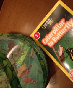 National Geographic Readers: Caterpillar to Butterfly Paperback 9 81LTL6redSL