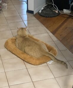 MidWest Homes for Pets Dog Bed 22L-Inch White Cinnamon Dog Bed or Cat Bed w/ Comfortable Bolster | Ideal for XS Dog Breeds & Fits a 22-Inch Crate | Easy Maintenance Machine Wash & Dry 38 81LV0ADQAtL