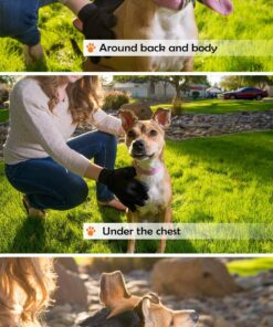 FourPets Deshedding and Grooming Glove for Pets, Right Hand 12 81LWPyznzOL