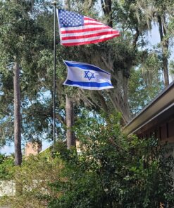 Deluxe Flag Pole Light Solar Powered - 1300 Lumen Solar Light for Flagpole - Light Up American Flag Outdoor with Solar Flag Pole Light from Dusk to Dawn for 12+ Hours - 100% Coverage Silver Flag Light Deluxe Silver 31 81LWbRptBL