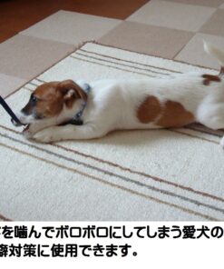 Grannick's Bitter Apple for Dogs Spray Bottle, 16 Ounces, Golds & Yellows (1116AT) 16 Ounces (Pack of 1) 30 81LZGEmzYNL