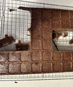 Wilton Letters and Numbers Adjustable Non-Stick Cake Pan Set, 10-Piece Set, Steel Celebrations Set 48 81LaY4pNInL