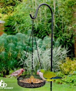 Hanging Bird Feeder Tray with Strong Double-Loop Hanging Chains Steel Hanging Platform Bird Feeder Dish 9.25 Inch (Dia) with 19 Inch Chains, Gifts for Mom, for Women 1 Pack Round 19 81LcaPeHF L